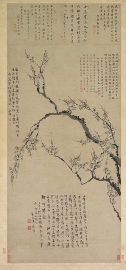 大寒意境配图:Plum Blossoms