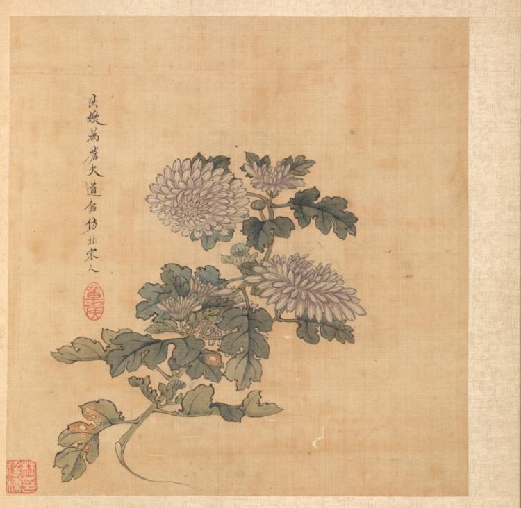 霜降意境配图:Paintings after Ancient Masters: Chrysanthemum